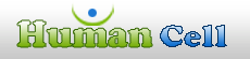 human cell